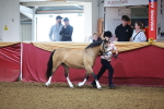 SBM_14677