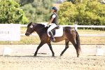 SBM_003530