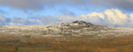 Staple Tor Snow