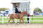 SBM_03389