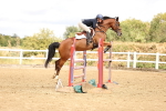 SBM_026854