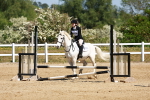 SBM_007637