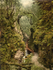 Dartmoor Lydford Gorge 2