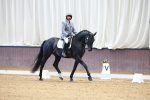 SBM_001036