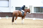 SBM_003251