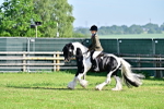 SBM_11628