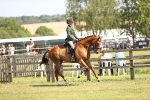 SBM_14884