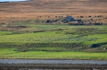 Loch Gruinart, Islay, Argyll
