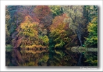 The Autumnal Fisherman