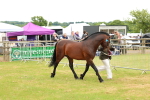 SBM_04254