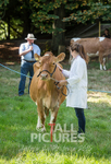 North Show_2014-2