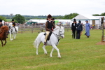 SBM_08877
