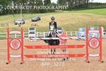 BPP_3273