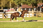 SBM_29393