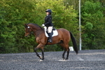 WJ5_8796