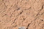 260425-114312-14842