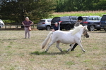 WJ6_6930
