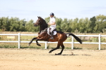 SBM_008046