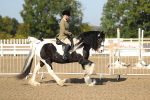 SBM_01127