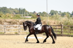 SBM_003438