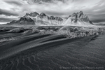 Sand Serpents - Monochrome