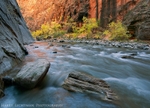 Narrows Oasis