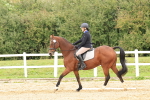 SBM_002900