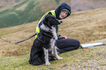 Sedbergh Hills-808