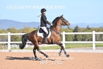 BPP_1782