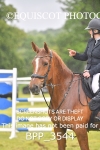 BPP_3544