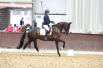SBM_010291