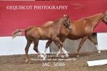 JAC_5086