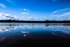 Frensham Little Pond