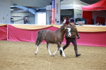 SBM_00476