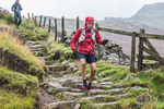 Langdale -1384