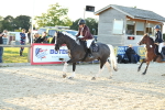 SBM_30337