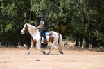 WJ6_9248
