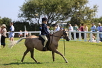 Class 32: First Ridden SP/SHP portfolio