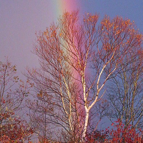 Intense rainbow after a freak October sleet squall