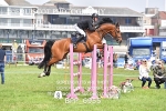 BPP_6955