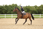 SBM_002612