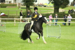 SBM_42265