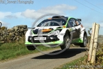HAMILTONS FOLLY 37
