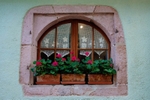 Window box