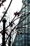 Street Lamp