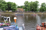 DRAGON BOAT RACE 10 July 2016 - 110 of 549