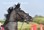 BPP_7919