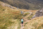 Peris Horseshoe-1047