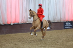 SBM_004241