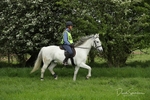 SPXX5470